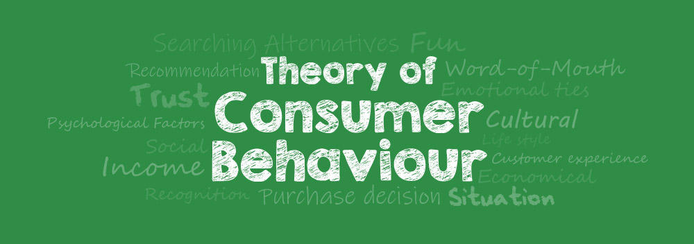 Theory of consumer behaviour 