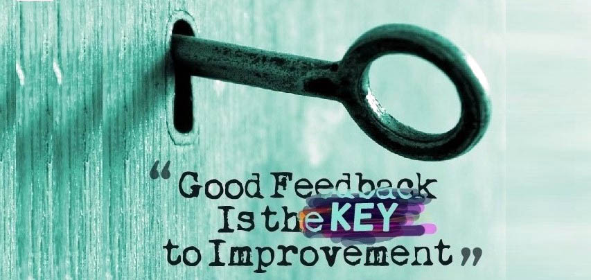 An image showing the importance of Seeking Feedback