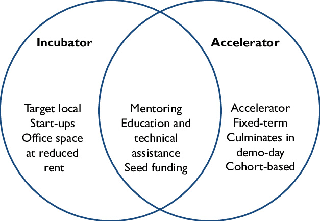 Accelerator vs. Incubato