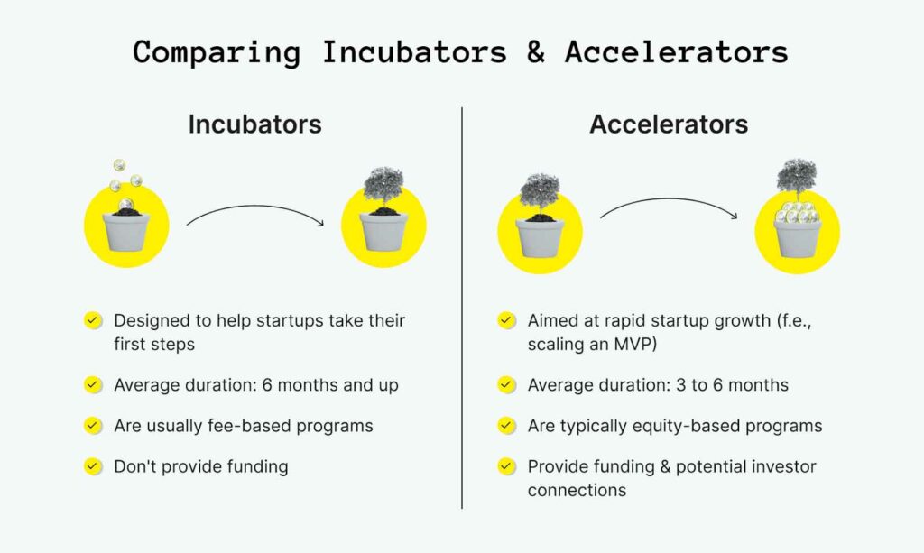 Accelerator vs. Incubato